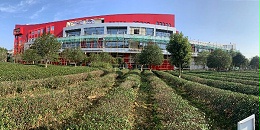 福建工程门窗案例  鸿运当头，中国红